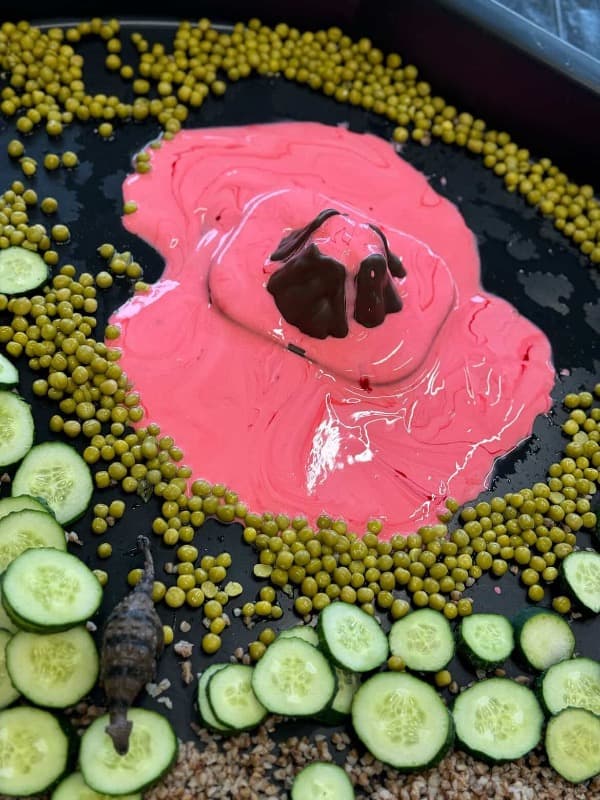 Zdjęcie 3