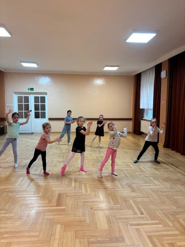 Zajęcia taneczno - gimnastyczne