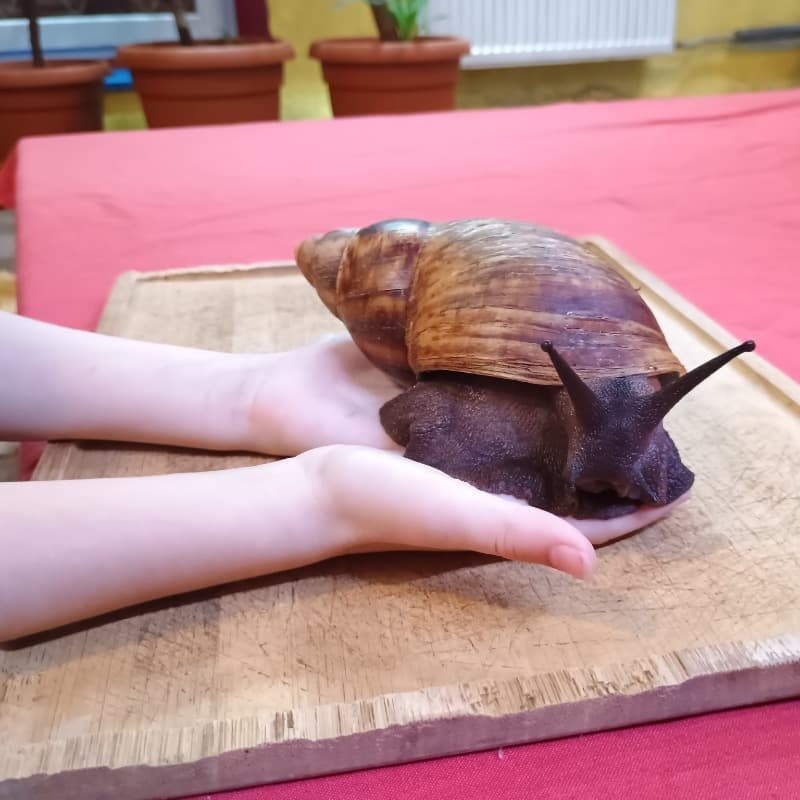 Zdjęcie 8