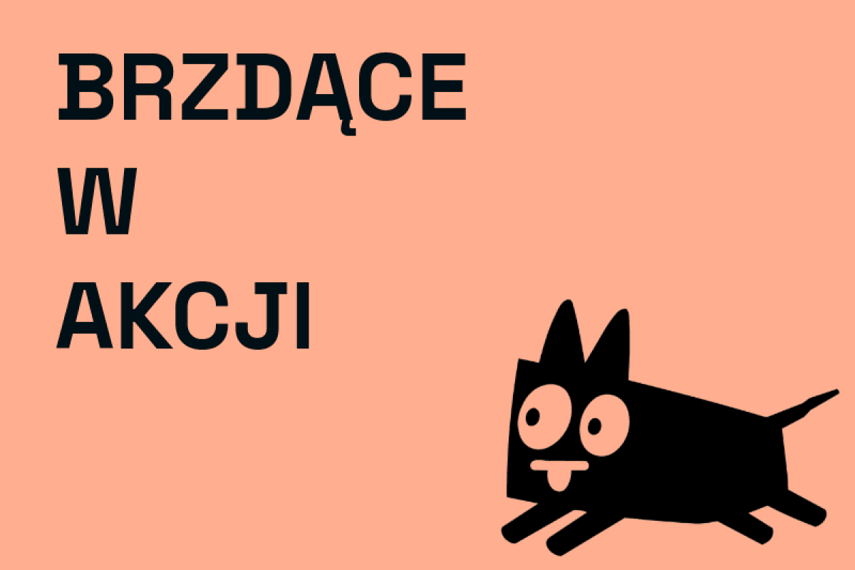 Zdjęcie 1