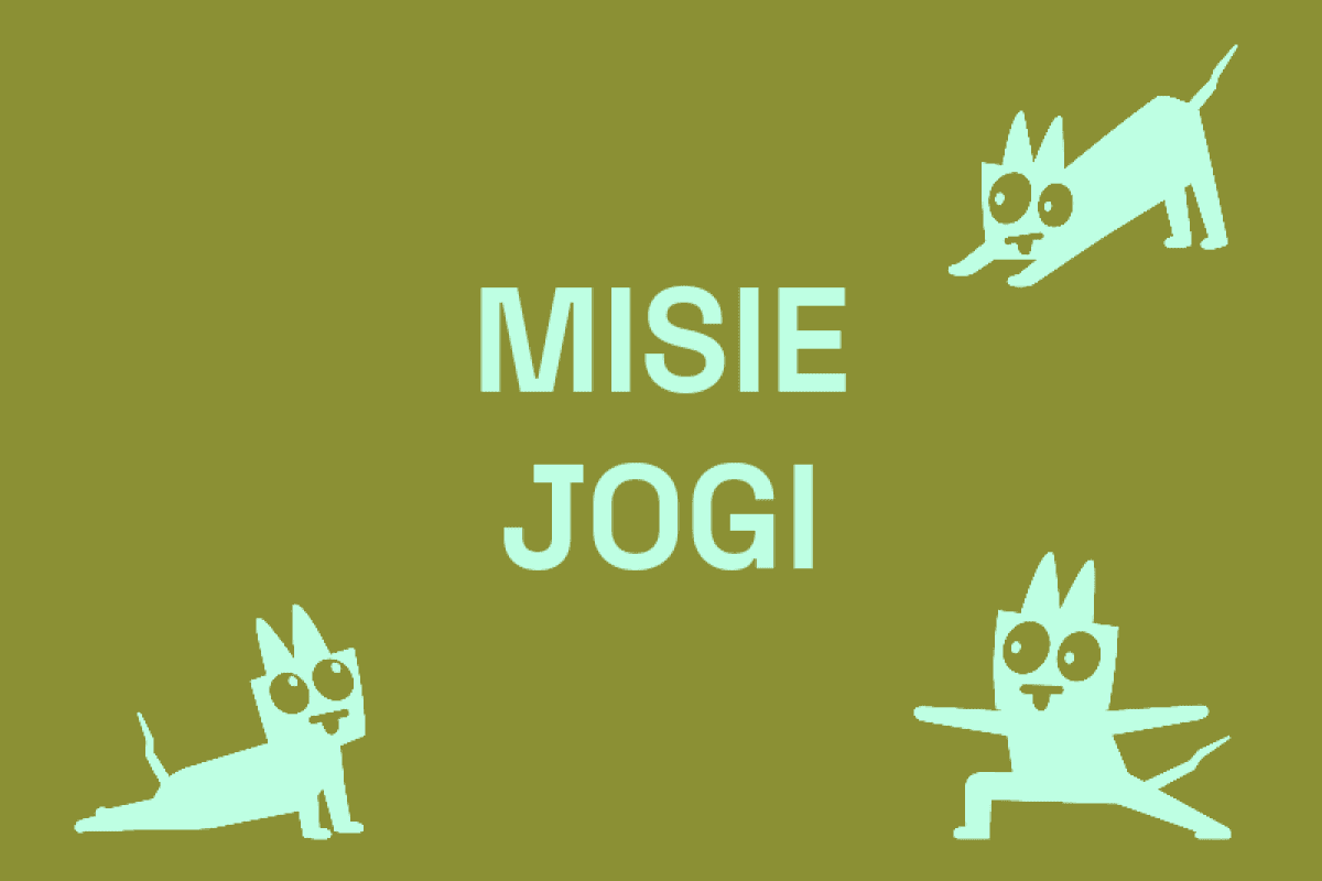 Misie jogi